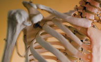 College of Health & Rehabilitation Sciences